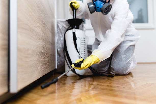 Best Best Pest Control Companies  in Antwerp, OH