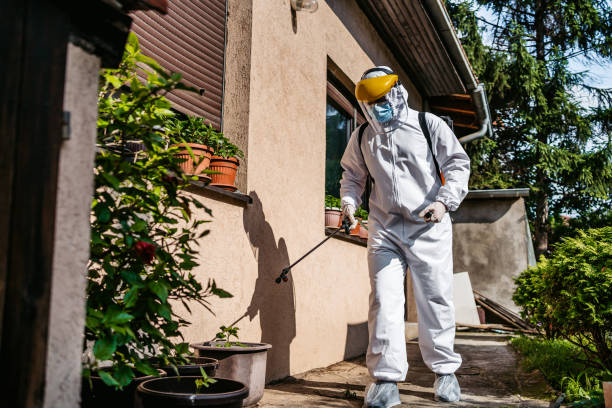 Insect Control in Antwerp, OH