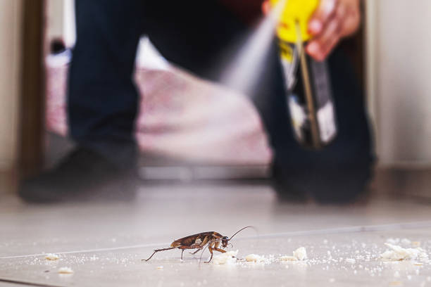 Pest Control Cost in Antwerp, OH
