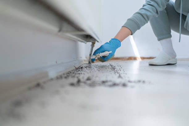 Best Wildlife Control Services  in Antwerp, OH